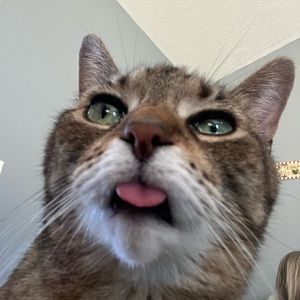 Reservation for @mgr8